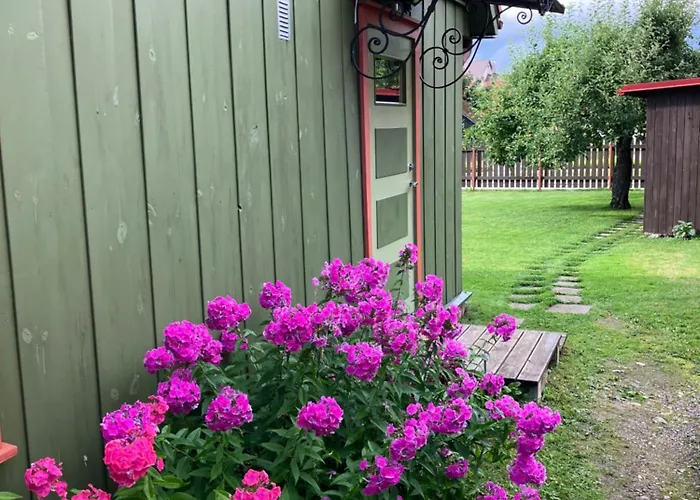 Apartament Arkaadia *