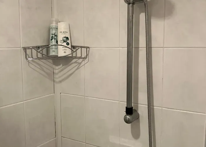 Arkaadia Apartament *