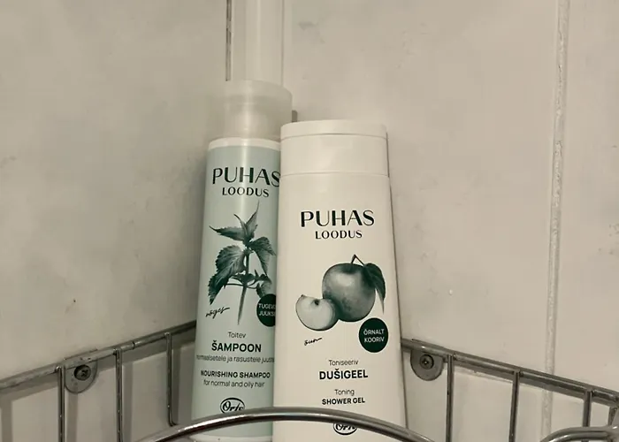 Arkaadia Apartament Viljandi (Viljandimaa)